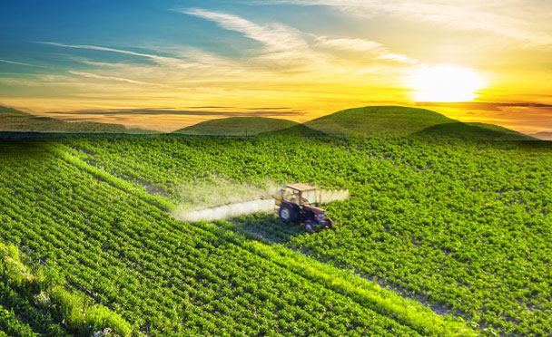 Fertilizer